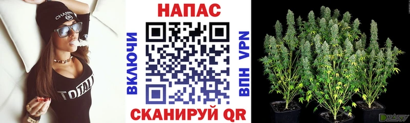 Где купить Плавск Alpha PVP Героин Марихуана Cocaine Меф Амфетамин