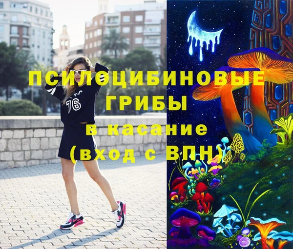 соль ск Алексеевка